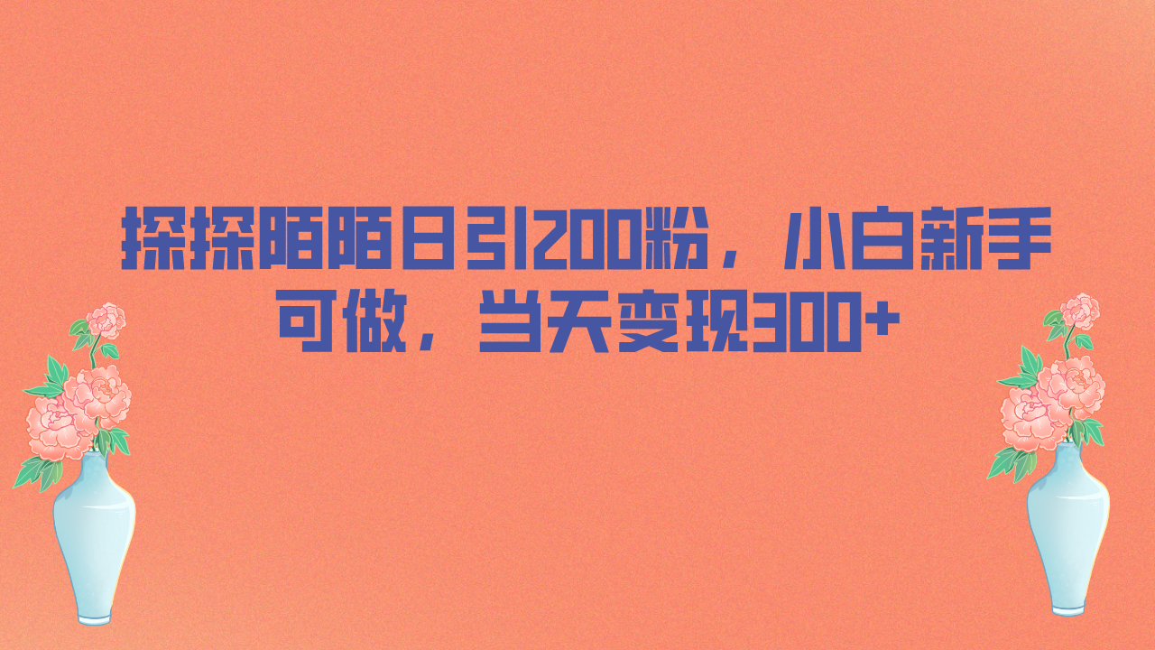 （6817期）探探陌陌日引200粉，小白新手可做，当天就能变现300+-桐创网