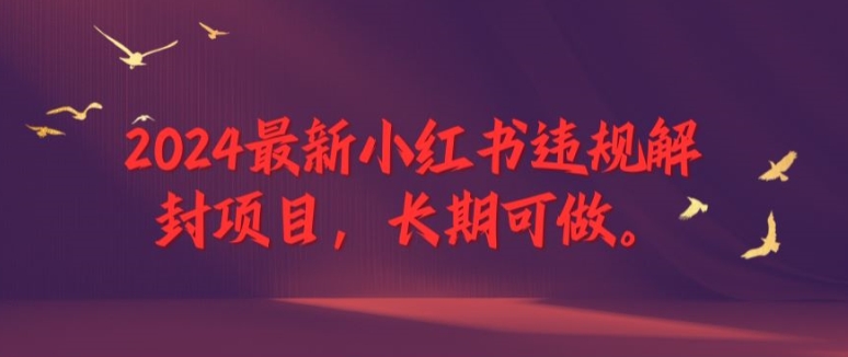 2024最新小红书违规解封项目，长期可做，一个可以做到退休的项目-桐创网