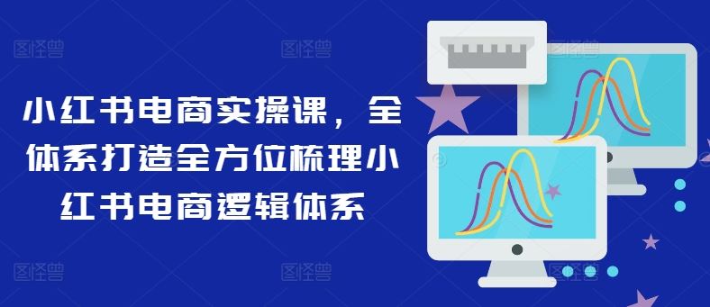 小红书电商实操课，全体系打造全方位梳理小红书电商逻辑体系-桐创网