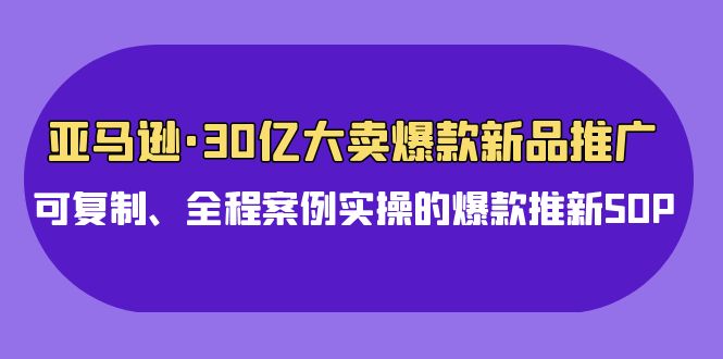 亚马逊30亿大卖爆款新品推广，可复制、全程案例实操的爆款推新SOP-桐创网