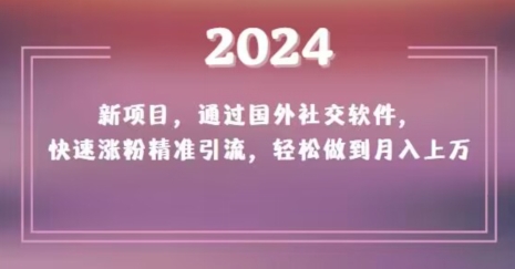 2024新项目，通过国外社交软件，快速涨粉精准引流，轻松做到月入上万【揭秘】-桐创网