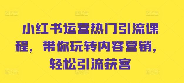 小红书运营热门引流课程，带你玩转内容营销，轻松引流获客-桐创网