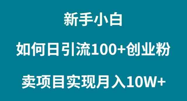 （9556期）新手小白如何通过卖项目实现月入10W+-桐创网