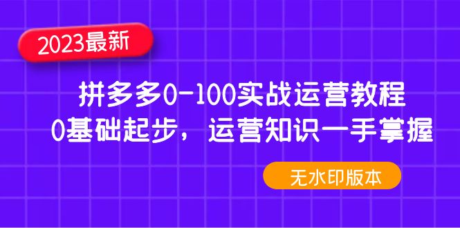 （4835期）2023拼多多0-100实战运营教程，0基础起步，运营知识一手掌握（无水印）-桐创网