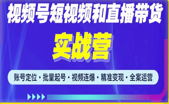 2023最新微信视频号引流和变现全套运营实战课程，小白也能玩转视频号短视频和直播运营-桐创网