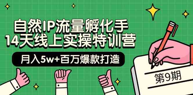 （9881期）自然IP流量孵化手 14天线上实操特训营【第9期】月入5w+百万爆款打造 (74节)-桐创网