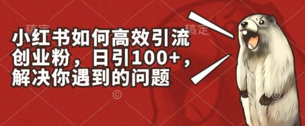 小红书如何高效引流创业粉，日引100+，解决你遇到的问题【揭秘】-桐创网