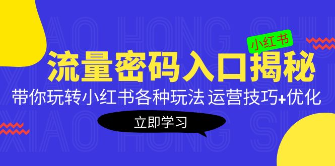 （5179期）小红书流量密码入口揭秘：带你玩转小红书各种玩法 运营技巧+优化！-桐创网