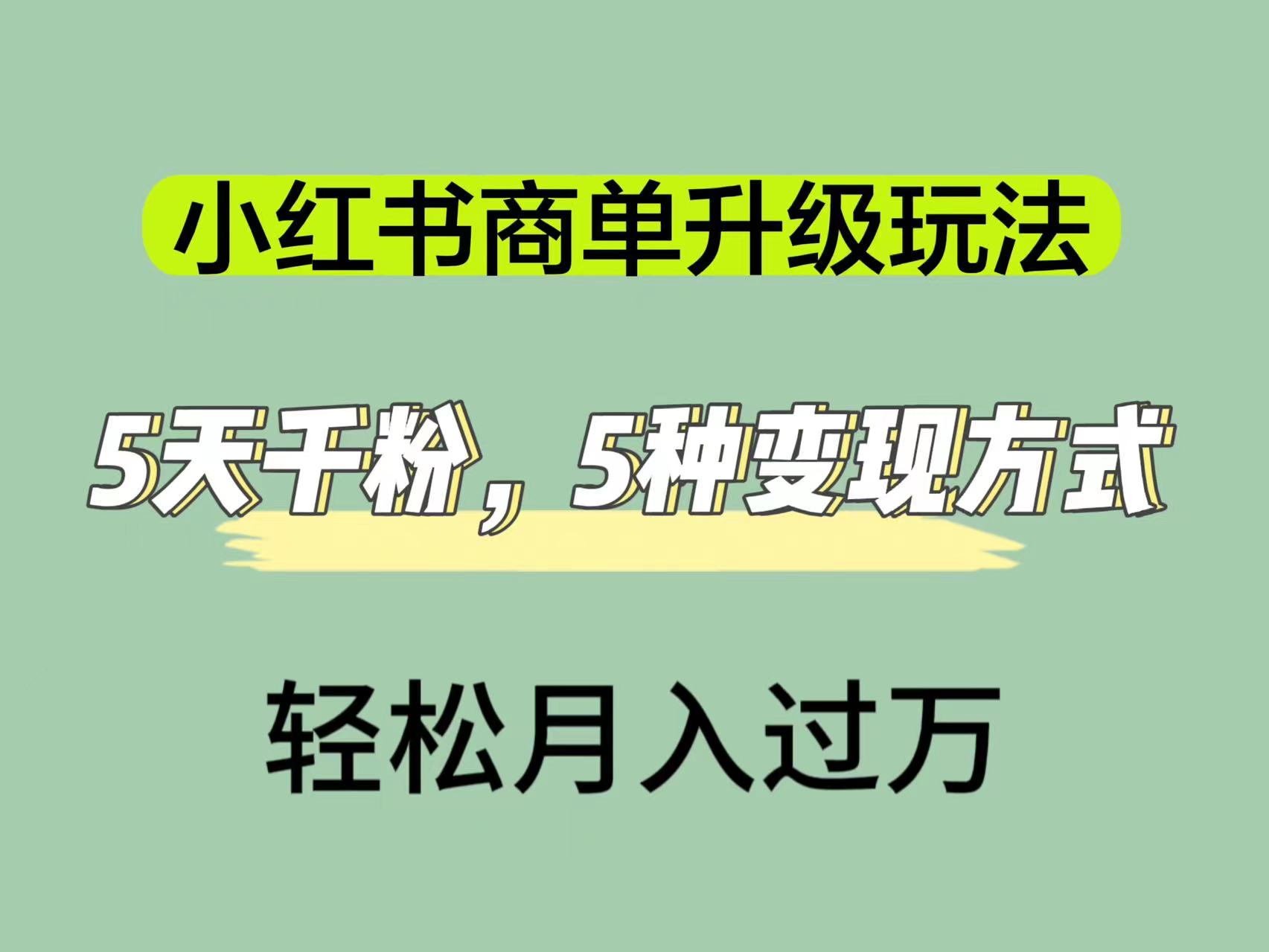 （7312期）小红书商单升级玩法，5天千粉，5种变现渠道，轻松月入1万+-桐创网