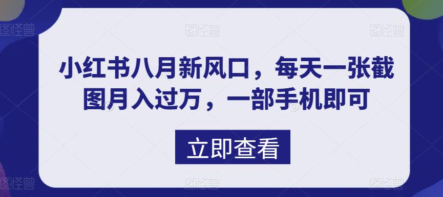 （6851期）八月新风口，小红书虚拟项目一天收入1000+，实战揭秘-桐创网