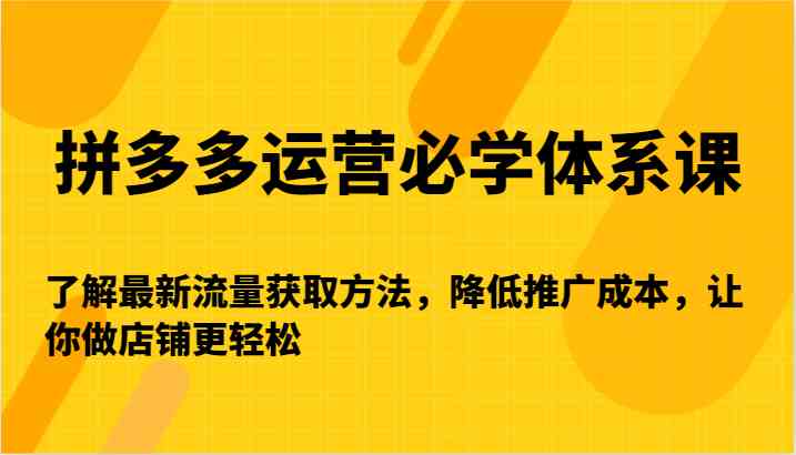 拼多多运营必学体系课-了解最新流量获取方法，降低推广成本，让你做店铺更轻松-桐创网