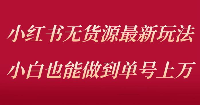 小红书无货源最新螺旋起号玩法，电商小白也能做到单号上万（价值3980元）-桐创网