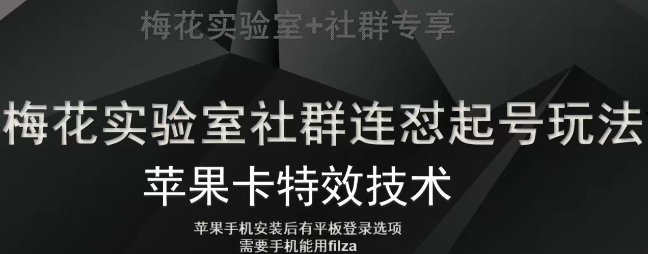 梅花实验室社群视频号连怼起号玩法，最新苹果卡特效技术-桐创网