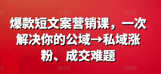 爆款短文案营销课，一次解决你的公域→私域涨粉、成交难题-桐创网