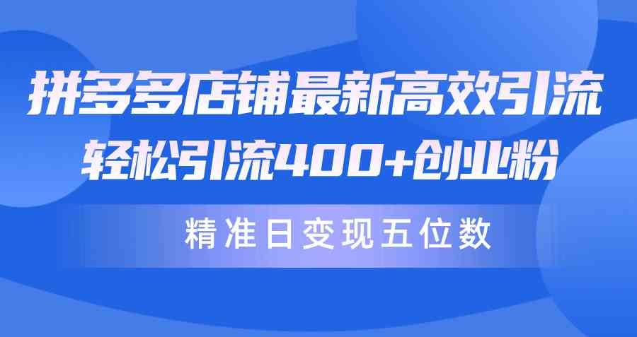 （10041期）拼多多店铺最新高效引流术，轻松引流400+创业粉，精准日变现五位数！-桐创网