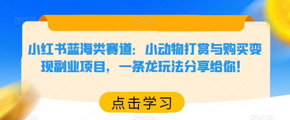 小红书蓝海类赛道：小动物打赏与购买变现副业项目，一条龙玩法分享给你！-桐创网