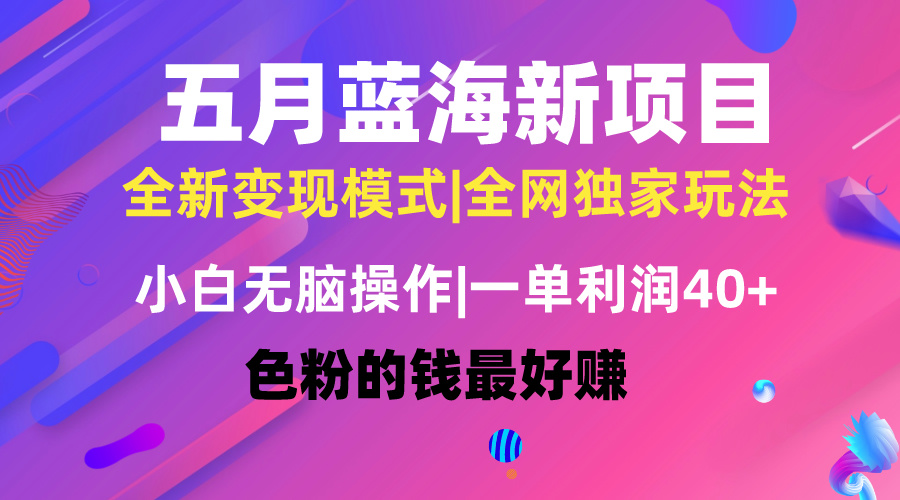 （10477期）五月蓝海项目全新玩法，小白无脑操作，一天几分钟，矩阵操作，月入4万+-桐创网