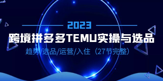 （6550期）2023跨境·拼多多·TEMU实操与选品，趋势·选品·运营·入住（27节完整）-桐创网