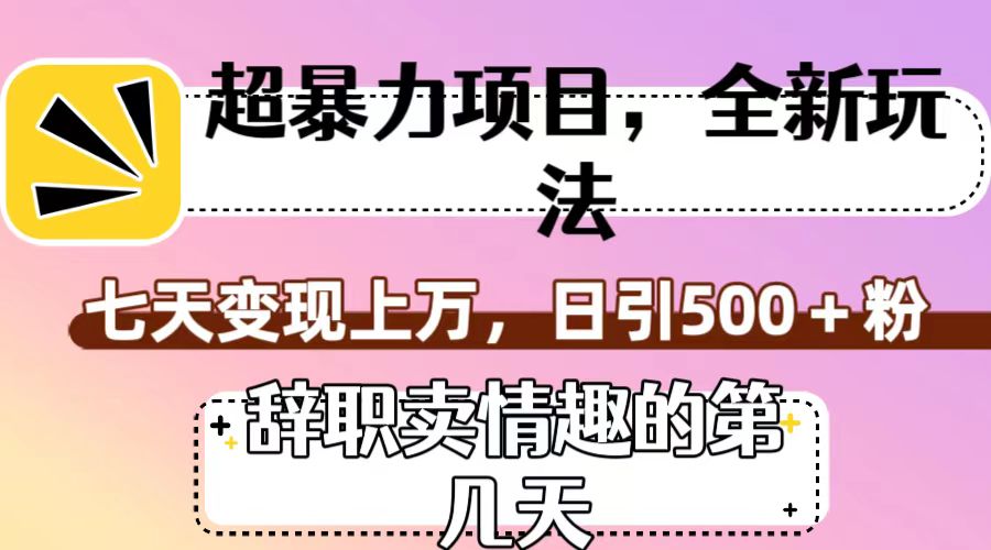 超暴利项目，全新玩法（辞职卖情趣的第几天），七天变现上万，日引500+粉-桐创网