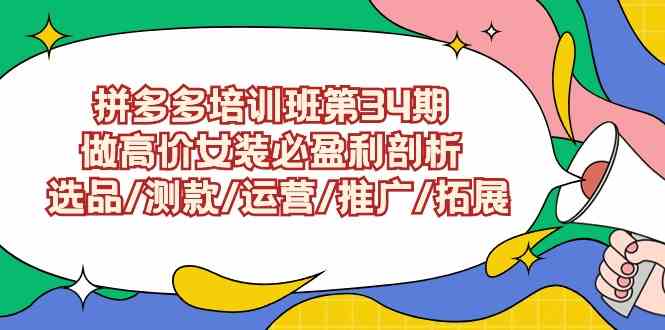 （9333期）拼多多培训班第34期：做高价女装必盈利剖析  选品/测款/运营/推广/拓展-桐创网