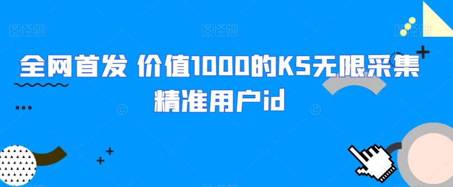 全网首发 价值1000的KS无限采集精准用户id-桐创网