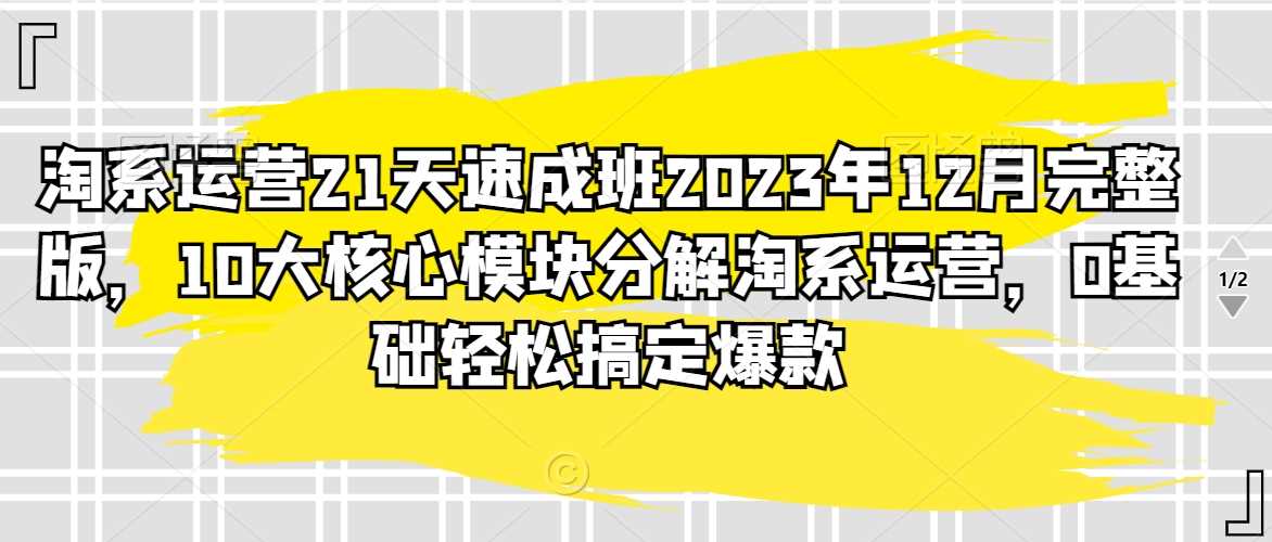 淘系运营21天速成班2023年12月完整版，10大核心模块分解淘系运营，0基础轻松搞定爆款-桐创网