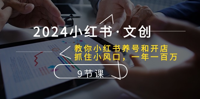 2024小红书文创：教你小红书养号和开店、抓住小风口 一年一百万 (9节课)-桐创网