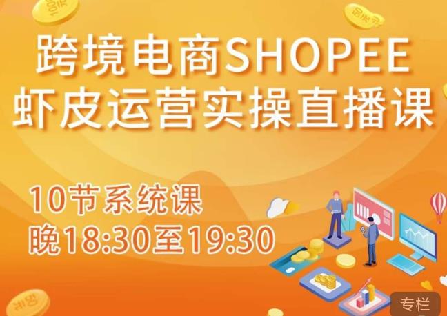 跨境电商Shopee虾皮运营实操直播课，从零开始学，入门到精通（10节系统课）-桐创网