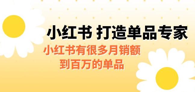 某公众号付费文章《小红书打造单品专家》小红书有很多月销额到百万的单品-桐创网