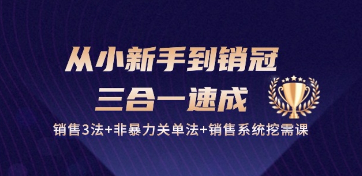 从小新手到销冠 三合一速成：销售3法+非暴力关单法+销售系统挖需课 (27节)-桐创网