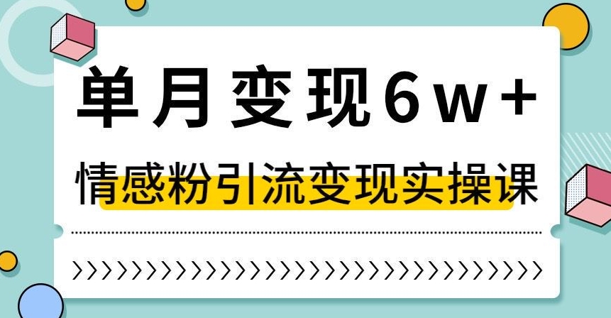 单月变现6W+，抖音情感粉引流变现实操课，小白可做，轻松上手，独家赛道【揭秘】-桐创网