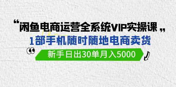 （9547期）闲鱼电商运营全系统VIP实战课，1部手机随时随地卖货，新手日出30单月入5000-桐创网