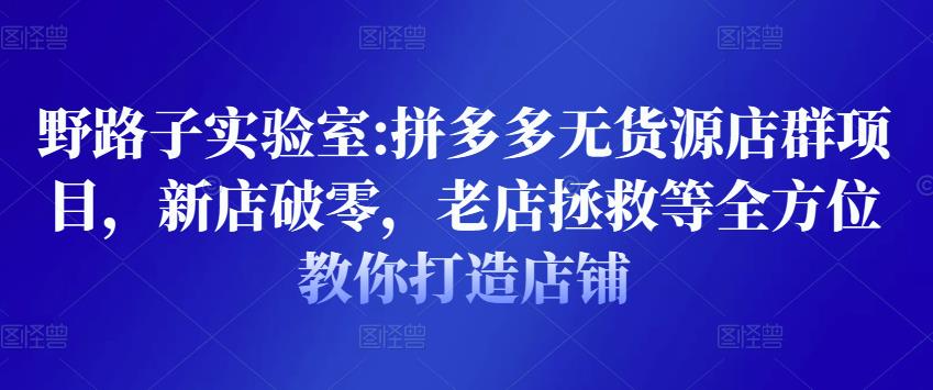 野路子实验室:拼多多无货源店群项目，新店破零，老店拯救等全方位教你打造店铺-桐创网