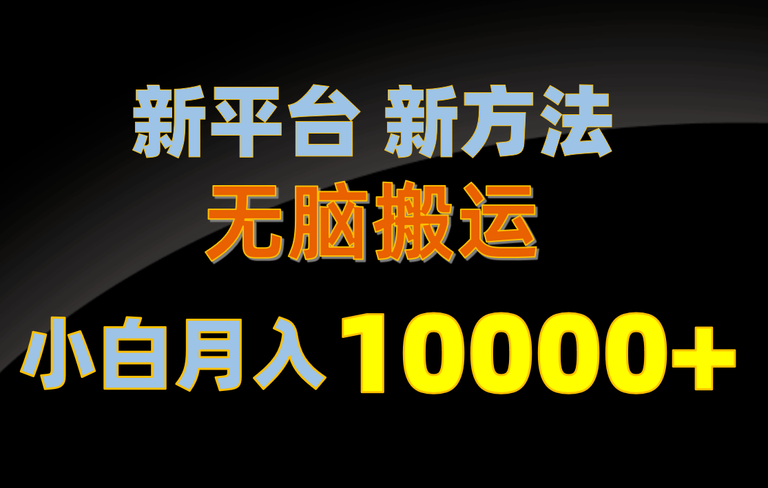 （10605期）新平台新方法，无脑搬运，月赚10000+，小白轻松上手不动脑-桐创网