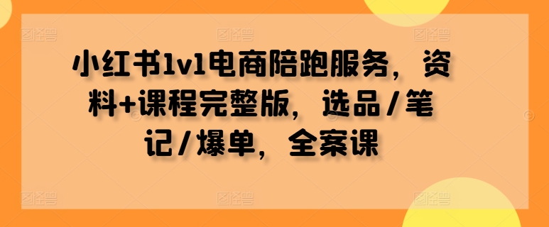 小红书1v1电商陪跑服务，资料+课程完整版，选品/笔记/爆单，全案课-桐创网