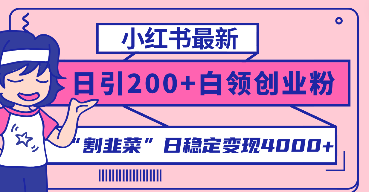 （8052期）小红书最新日引200+创业粉”割韭菜“日稳定变现4000+实操教程！-桐创网