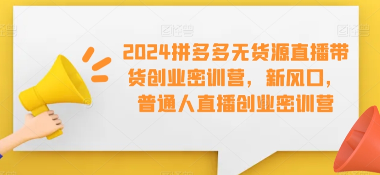 2024拼多多无货源直播带货创业密训营，新风口，普通人直播创业密训营-桐创网