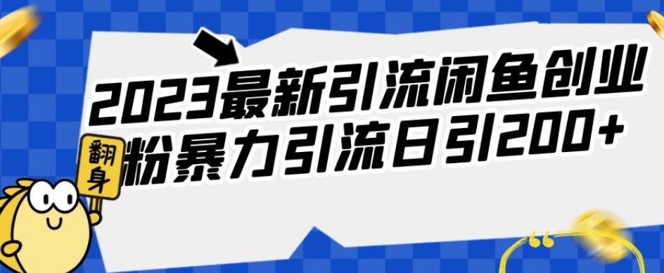 2023最新引流闲鱼创业粉暴力引流日引200+【揭秘】-桐创网