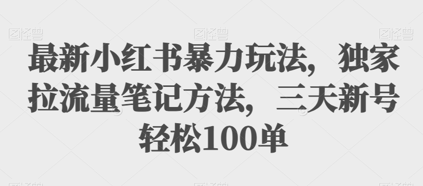 最新小红书暴力玩法，独家拉流量笔记方法，三天新号轻松100单【揭秘】-桐创网