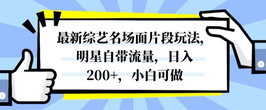 最新综艺名场面片段玩法，明星自带流量，日入200+，小白可做【揭秘】-桐创网