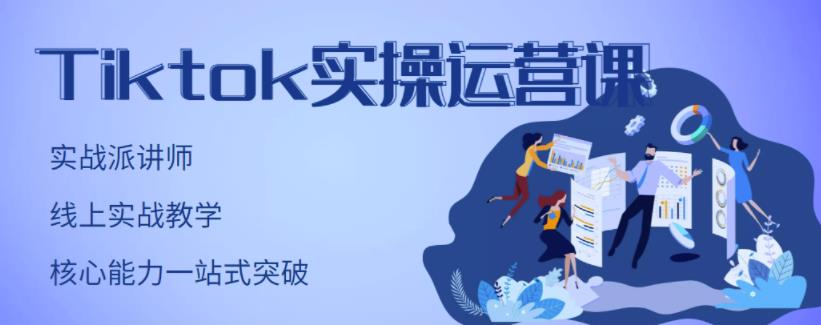 刘博·TikTok实操运营课，手把手账号实战，适合零基础Tiktok新人-桐创网