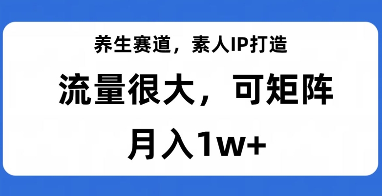 养生赛道，素人IP打造，流量很大，可矩阵，月入1w+【揭秘】-桐创网