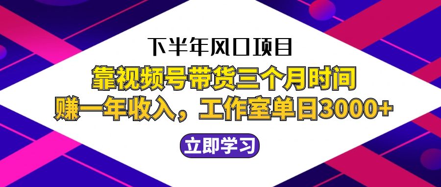 （12849期）下半年风口项目，靠视频号带货三个月时间赚一年收入，工作室实测单日3…-桐创网