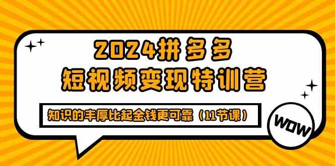 （9817期）2024拼多多短视频变现特训营，知识的丰厚比起金钱更可靠（11节课）-桐创网