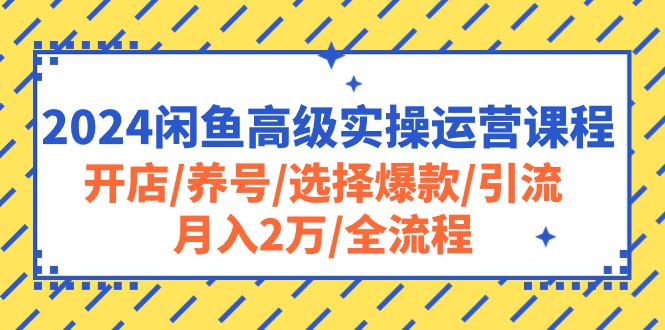 （10711期）2024闲鱼高级实操运营课程：开店/养号/选择爆款/引流/月入2万/全流程-桐创网