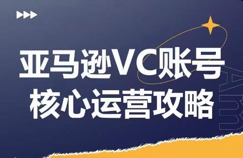 亚马逊VC账号核心玩法解析，实战经验拆解产品模块运营技巧，提升店铺GMV，有效提升运营利润-桐创网