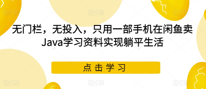 无门栏，无投入，只用一部手机在闲鱼卖Java学习资料实现躺平生活【揭秘】-桐创网