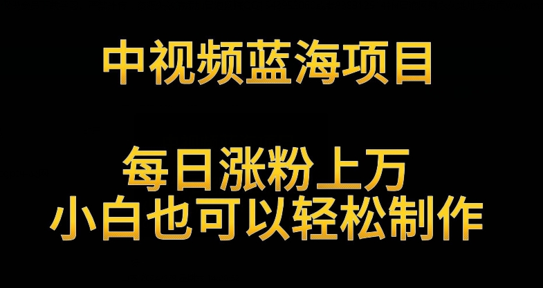 中视频蓝海项目，解读英雄人物生平，每日涨粉上万，小白也可以轻松制作，月入过万不是梦-桐创网