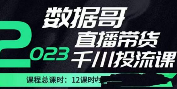 数据哥2023直播电商巨量千川付费投流实操课，快速掌握直播带货运营投放策略-桐创网