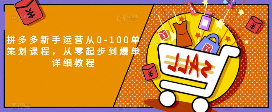 拼多多新手运营从0-100单策划课程，从零起步到爆单详细教程-桐创网